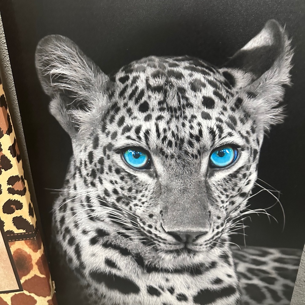 The most beautiful pictures you haven’t you ever seen